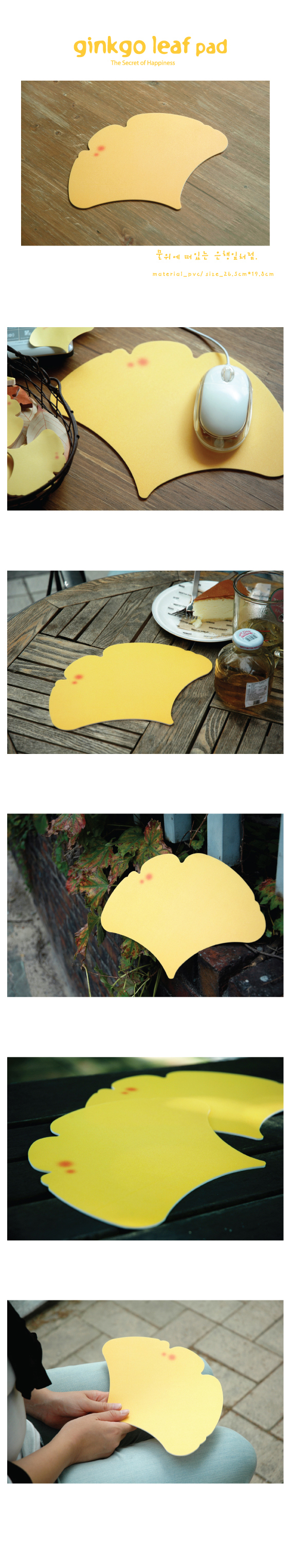 ��ǰ ���� ����